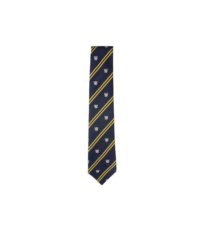 BS Prep House Colours Tie