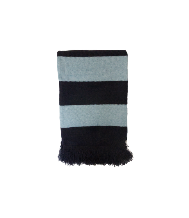 BS House Colours Scarf