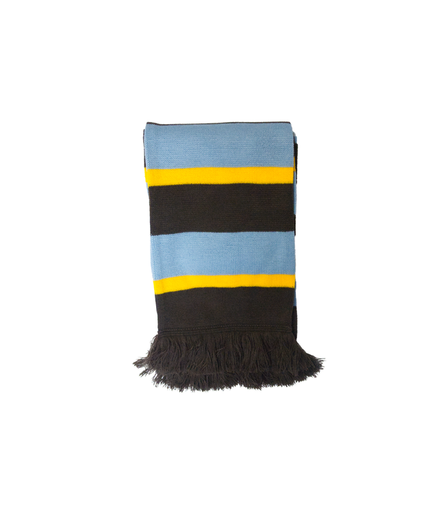 BS House Colours Scarf