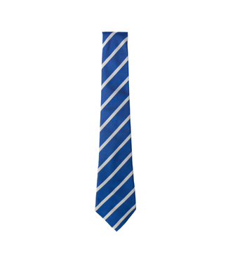 BS Minor Colours Tie