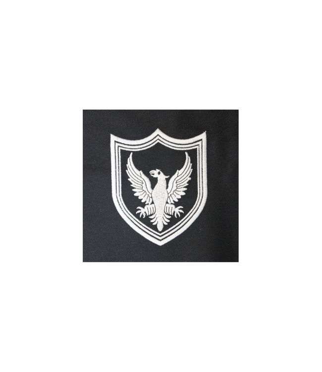 BS Minor Colours Badge