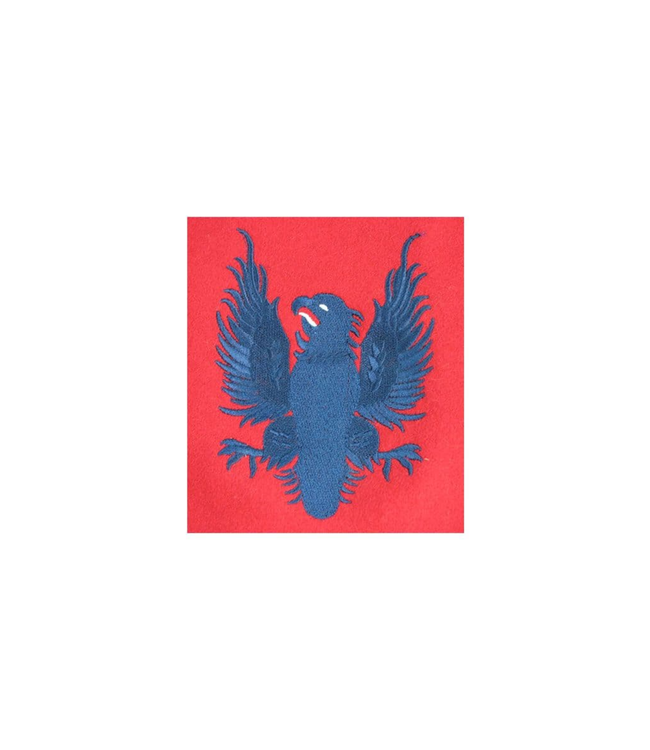 BS Major Colours Badge