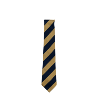 BGI TIE (56")