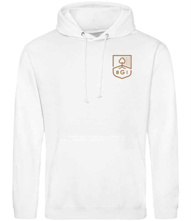 BGI Yr11 Class Of 26 Hoody