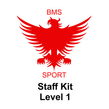Level 1