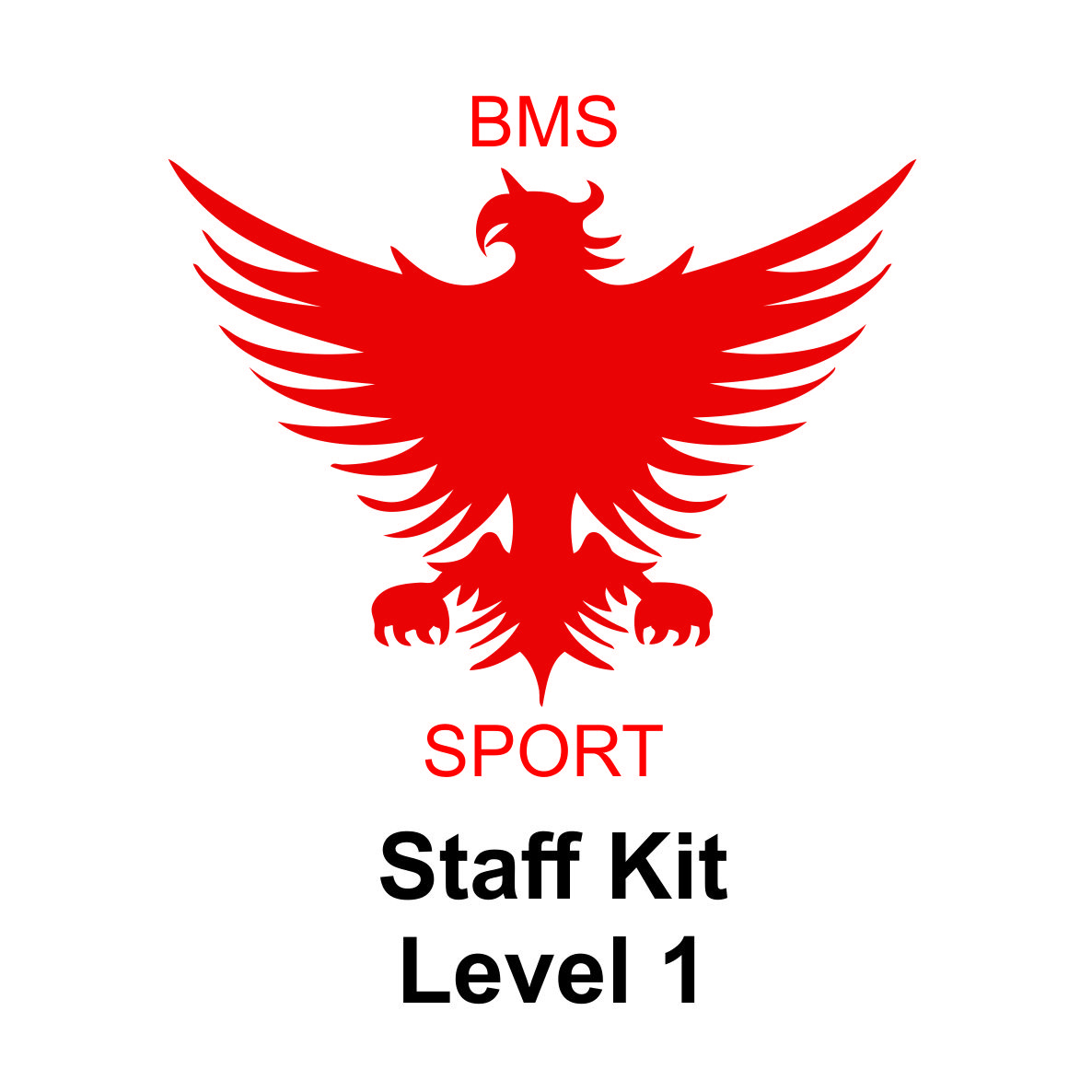 Level 1
