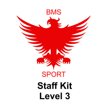 Level 3
