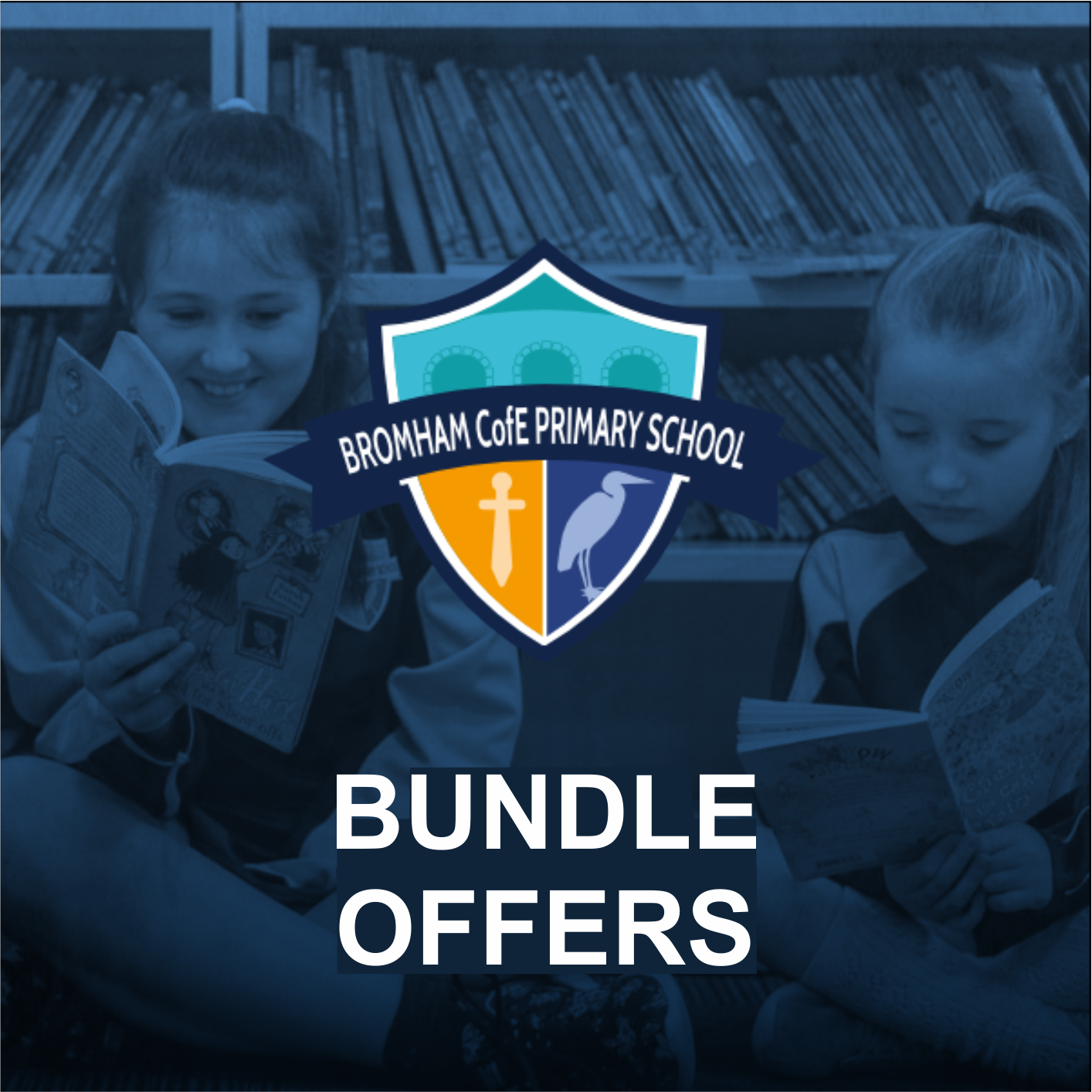 Discounted Bundles