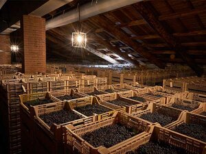 Giacomo Montresor | Veneto, Italie