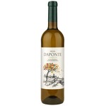 Bodegas Chaves | Galicië, Spanje Bodegas Chaves Silva Daponte Godello 2024 - 6 flessen