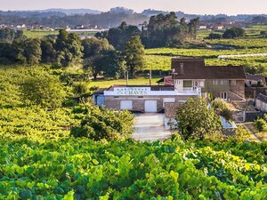 Bodegas Chaves | Galicië, Spanje