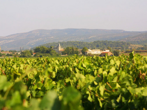 Château Capendu | Corbières, Frankrijk