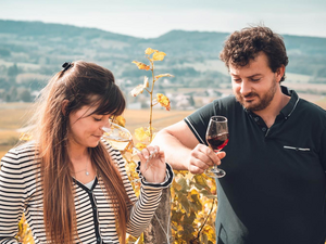 Domaine Baud | Jura, Frankrijk