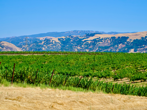 Silver Ridge | Californië, Verenigde Staten