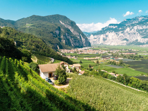 Von Blumen | Alto Adige, Italië