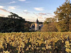 Château de Tracy  | Loire, Frankrijk