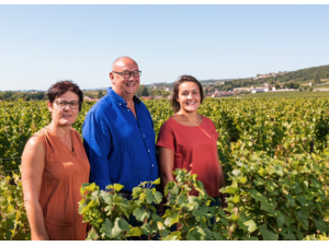 Domaine Jérôme Chézeaux | Bourgogne, Frankrijk