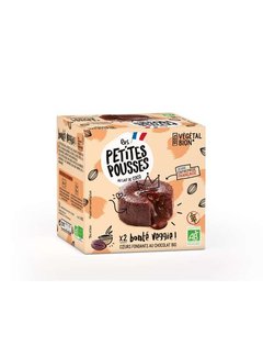 Les Petites Pousses Les Petites Pousses - Lavacake - 6 x 160g