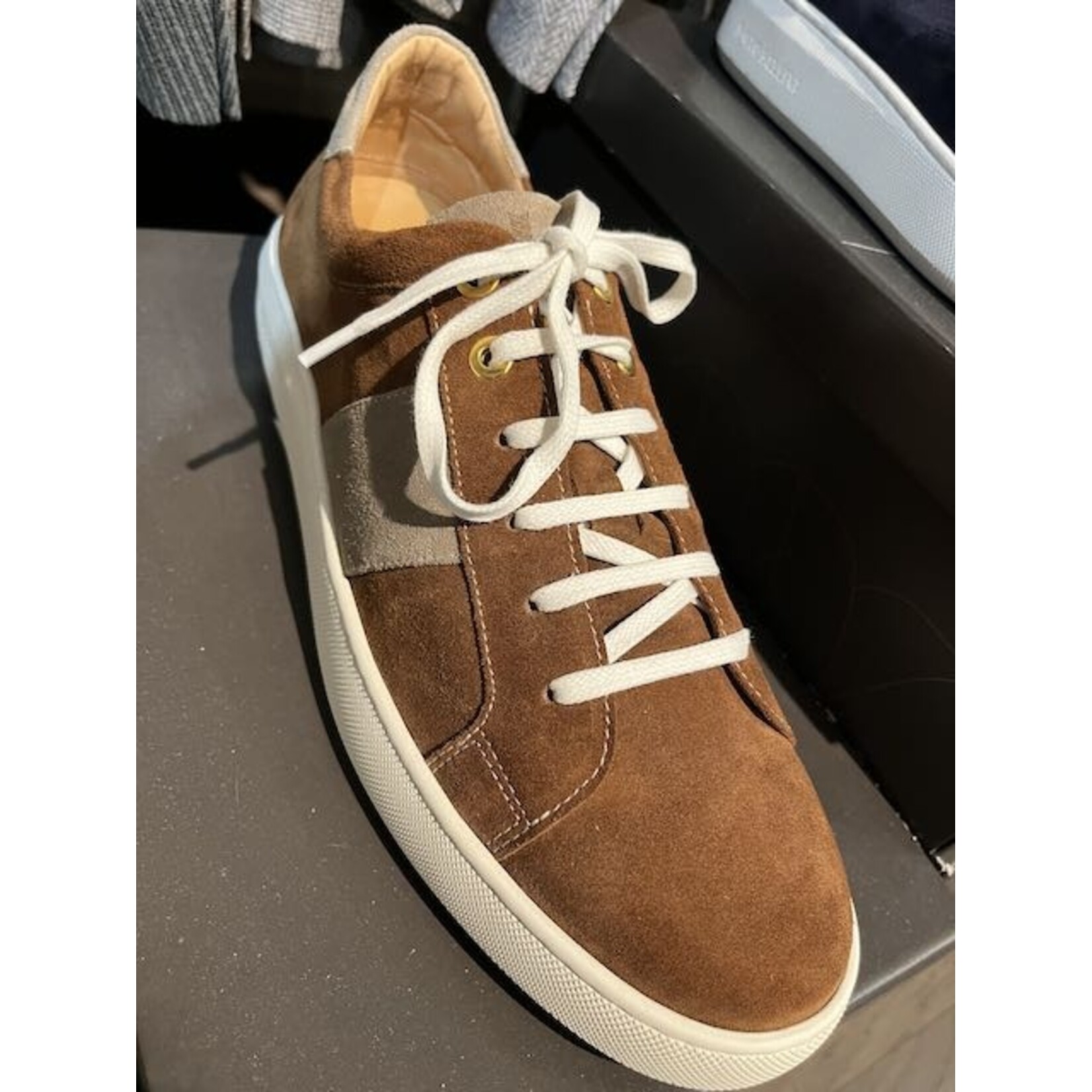 Paulo Bellini Footwaer Paulo Bellini Sneaker