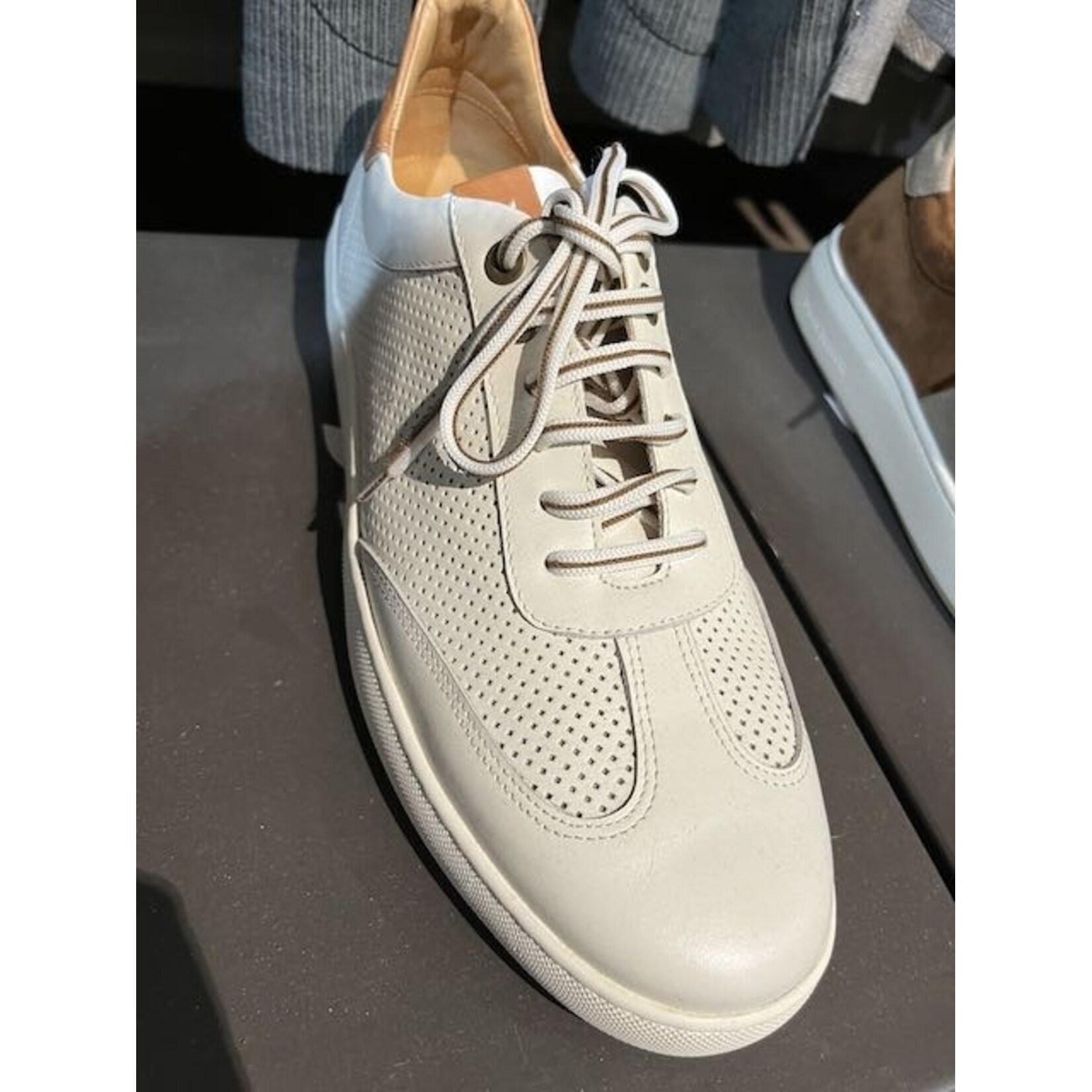 Paulo Bellini Footwaer Paulo Bellini Sneaker