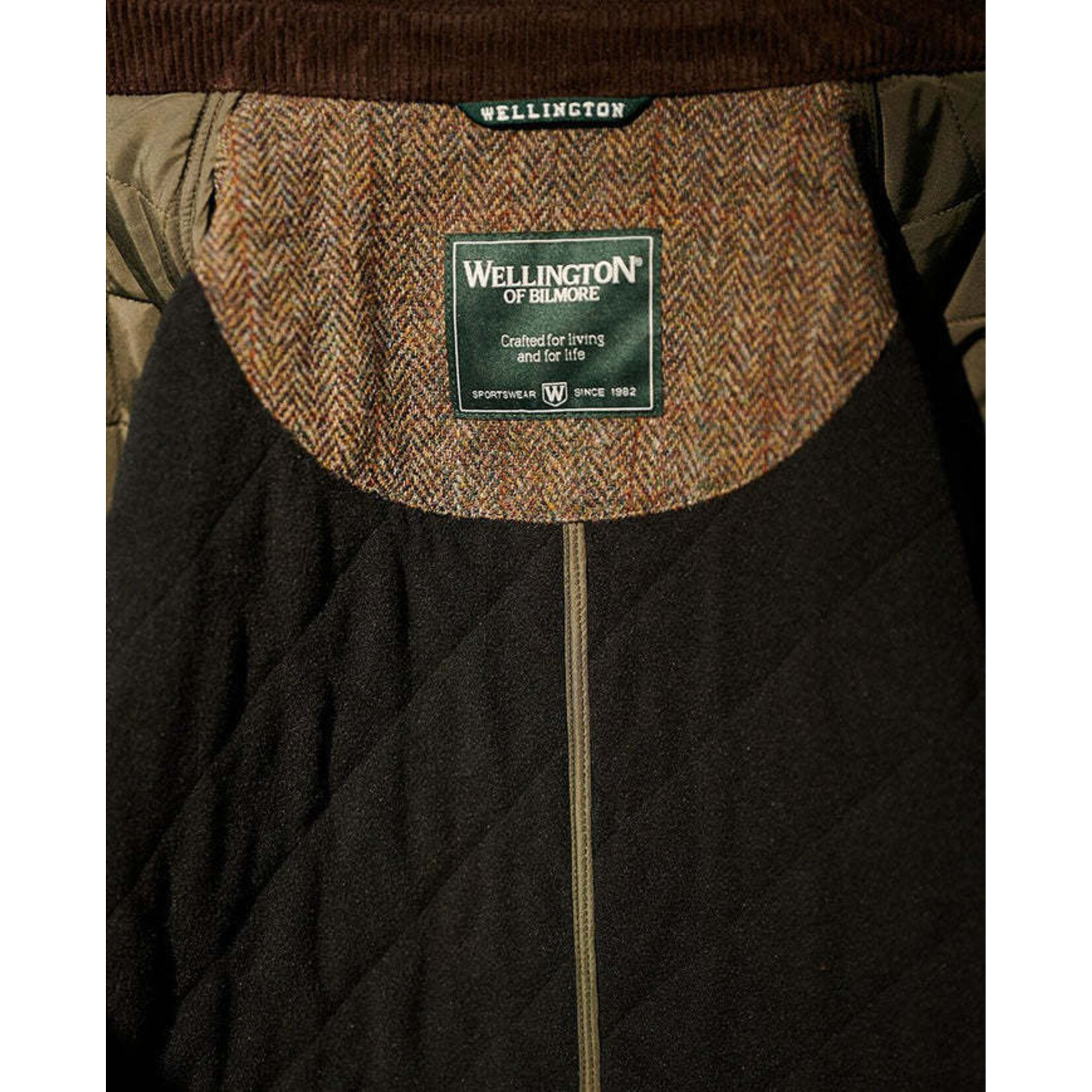 Wellington of Billmore Wellington  Boston HT-Polar