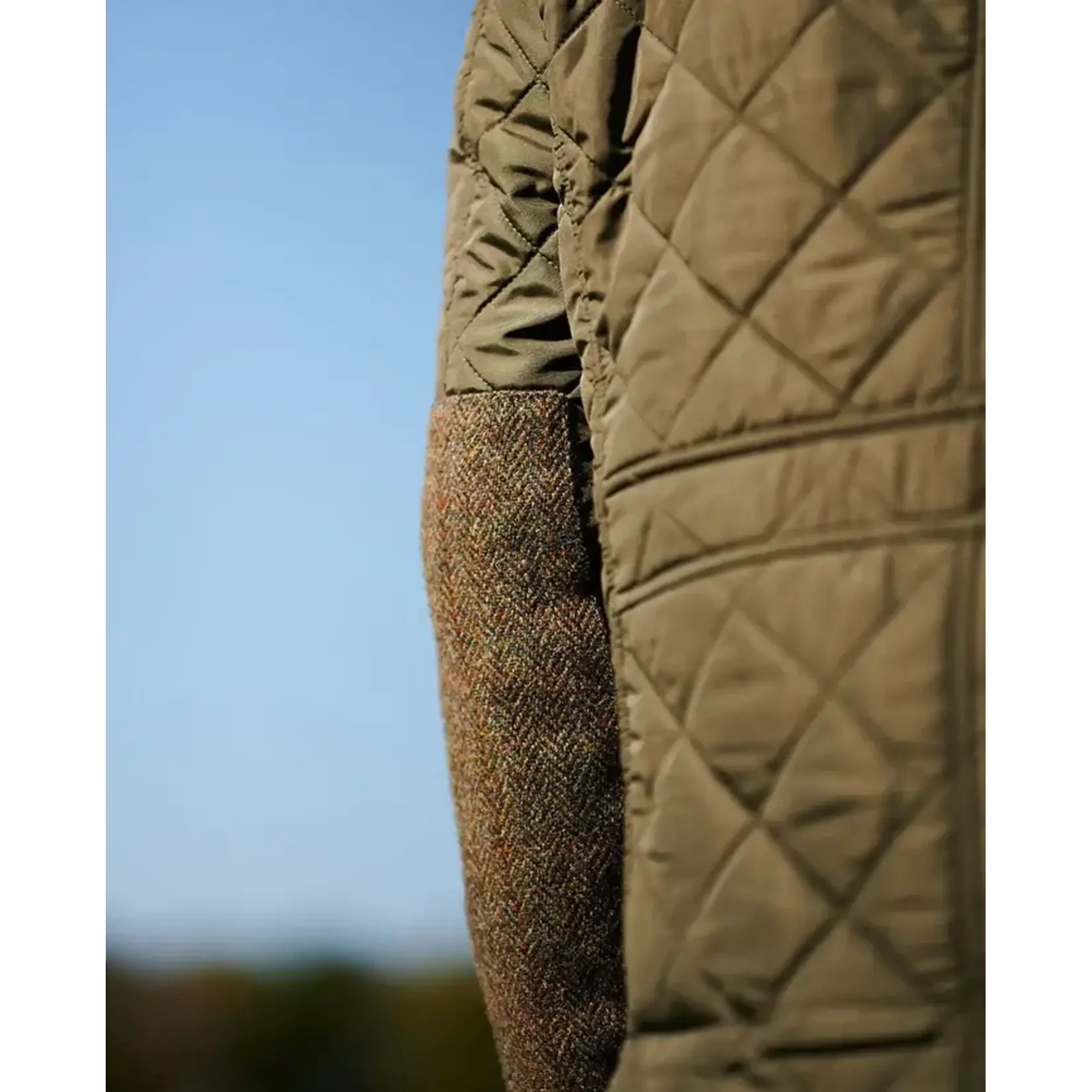 Wellington of Billmore Wellington  Boston HT-Polar