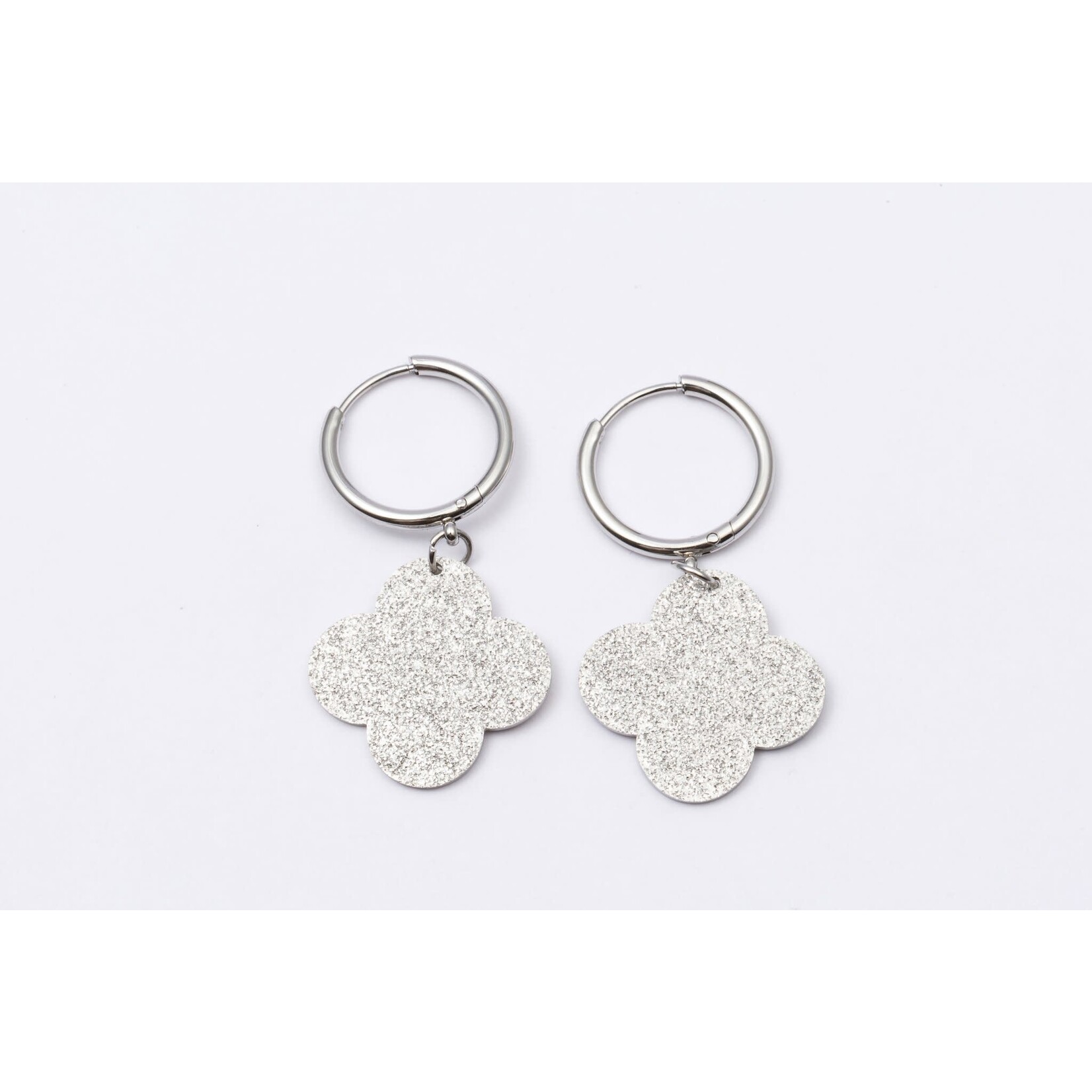 WAUW Jewellery Oorbellen stainless steel zilver van 12.99 voor