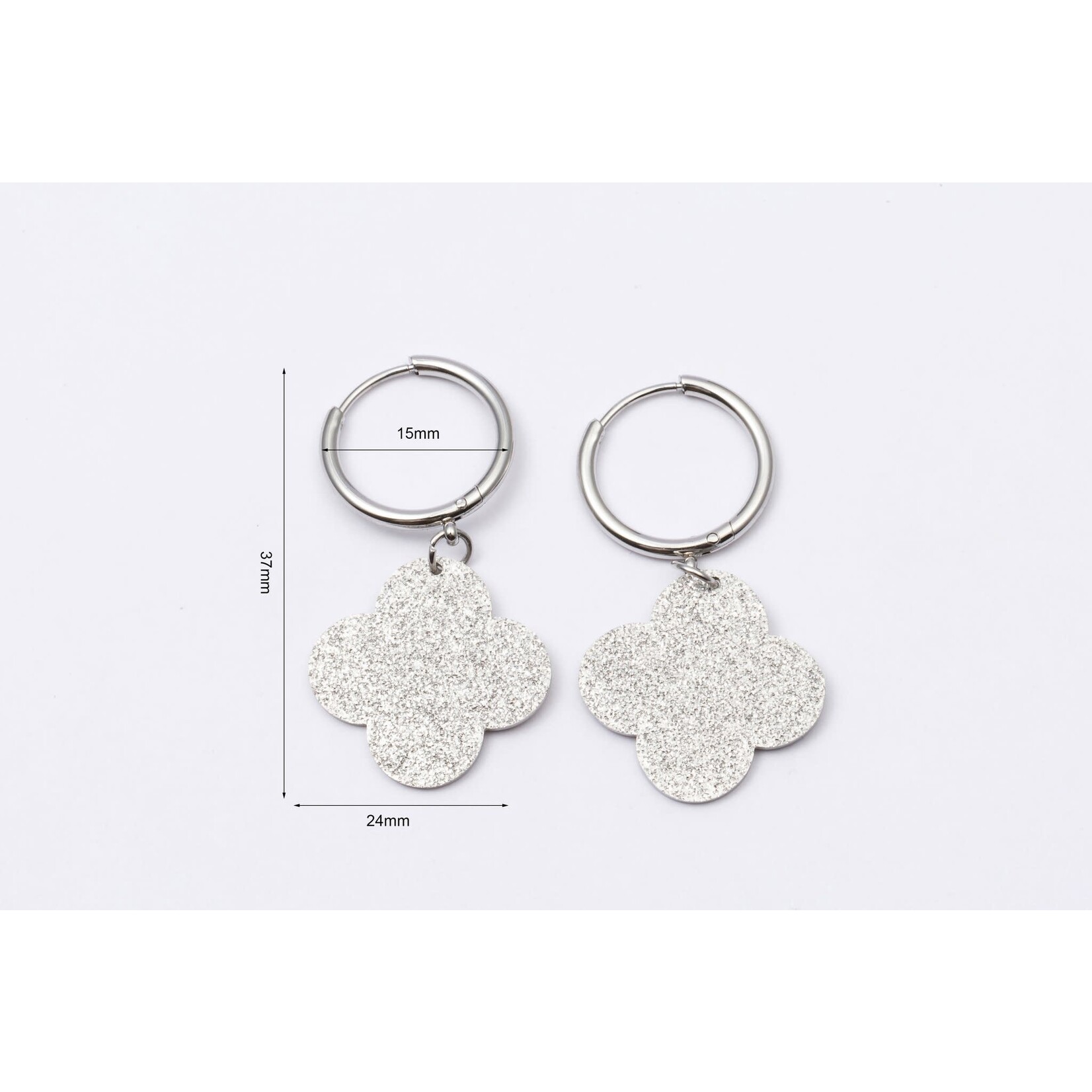 WAUW Jewellery Oorbellen stainless steel zilver van 12.99 voor