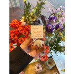 Home Sweet Home Geluksdoosje Elephant