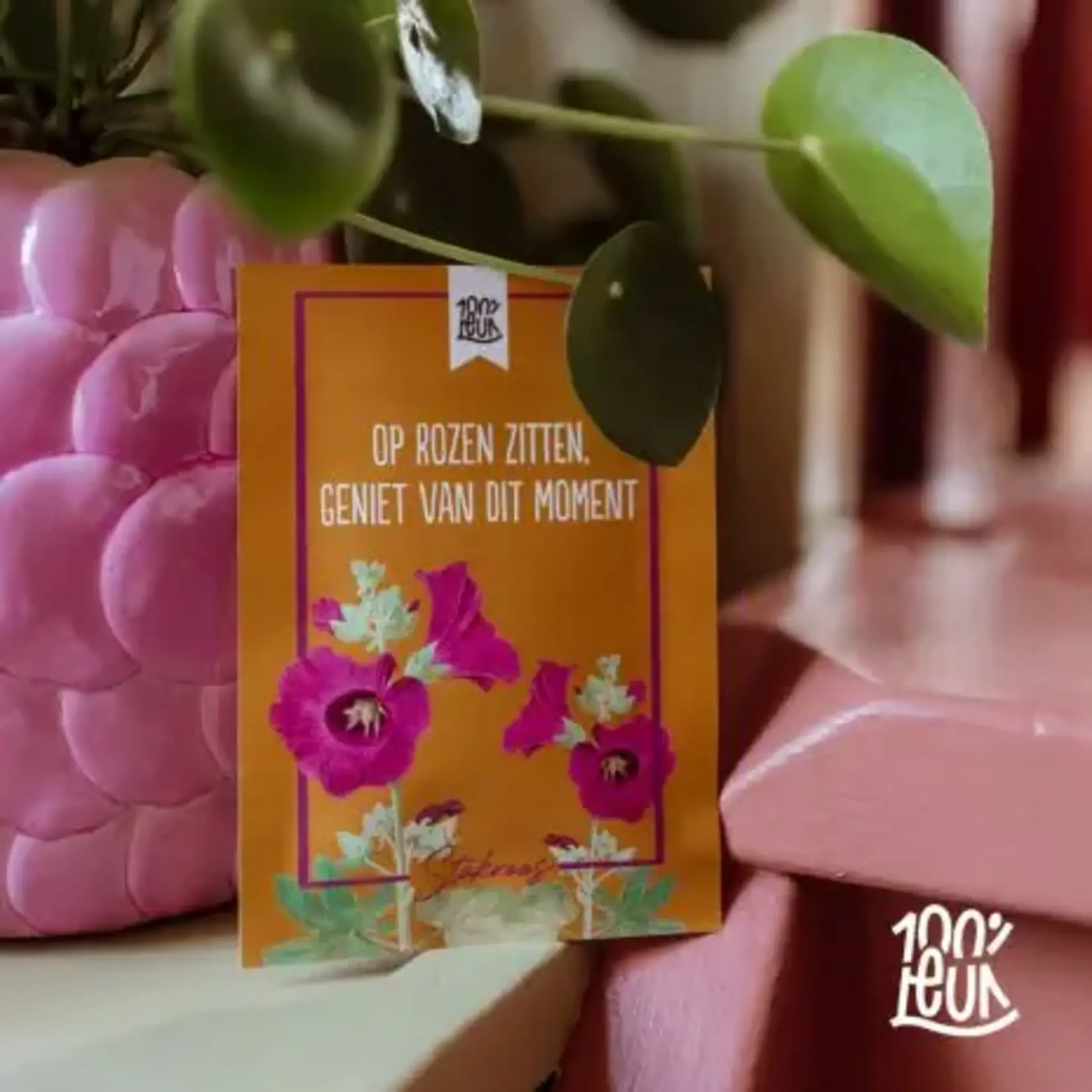 100% leuk Bloemenzaadjes - Zo krachtig en prachtig
