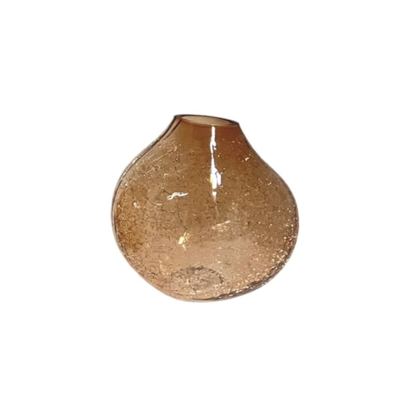 Home Society Vaas Bulb S