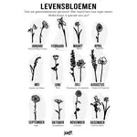 Joeff Levensbloemen Zwart mdf per stuk