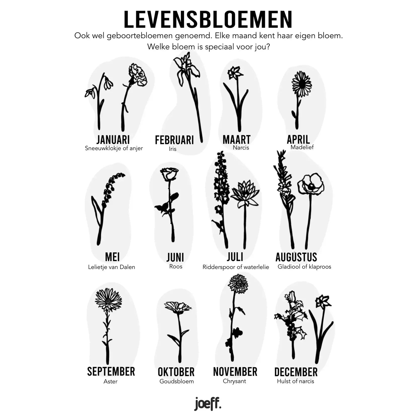 Joeff Levensbloemen Zwart mdf per stuk