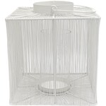 Leeff Lantern Luuk S