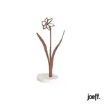Joeff Walnoot Geboortebloem Narcis Maart