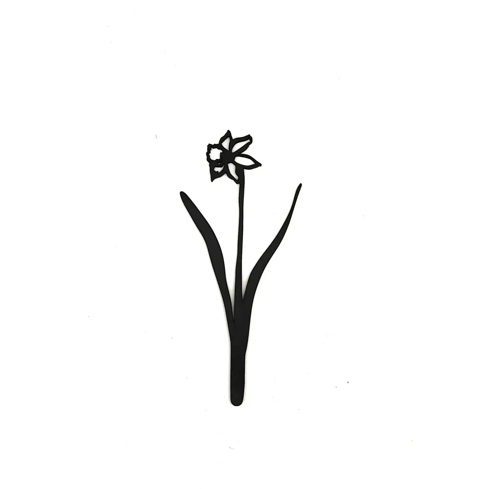 Joeff Zwart Geboortebloem Narcis Maart