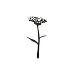 Joeff zwart geboortebloem goudsbloem oktober