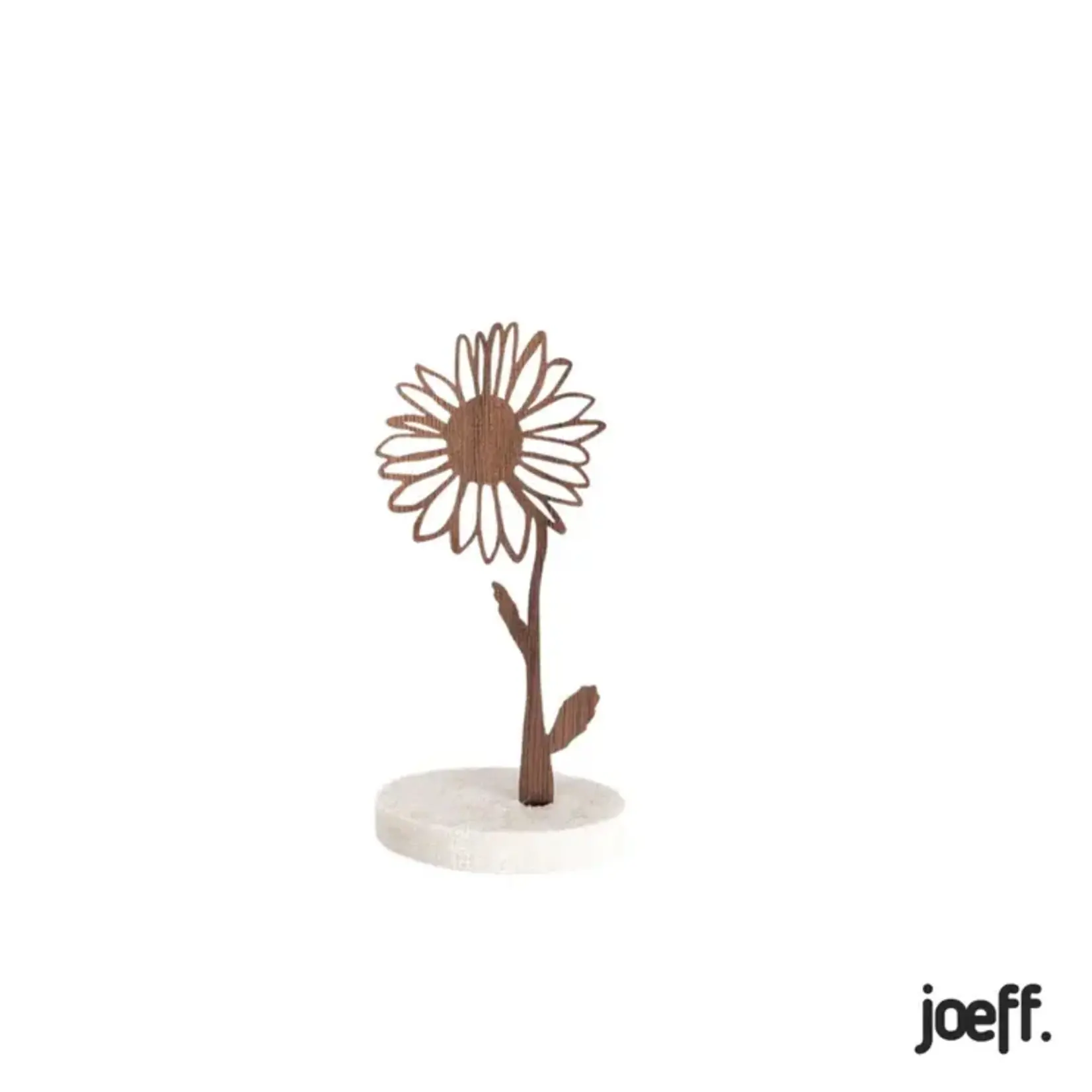 Joeff Walnoot Geboortebloem Madeliefje April