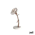 Joeff Walnoot Geboortebloem Anjer Januari