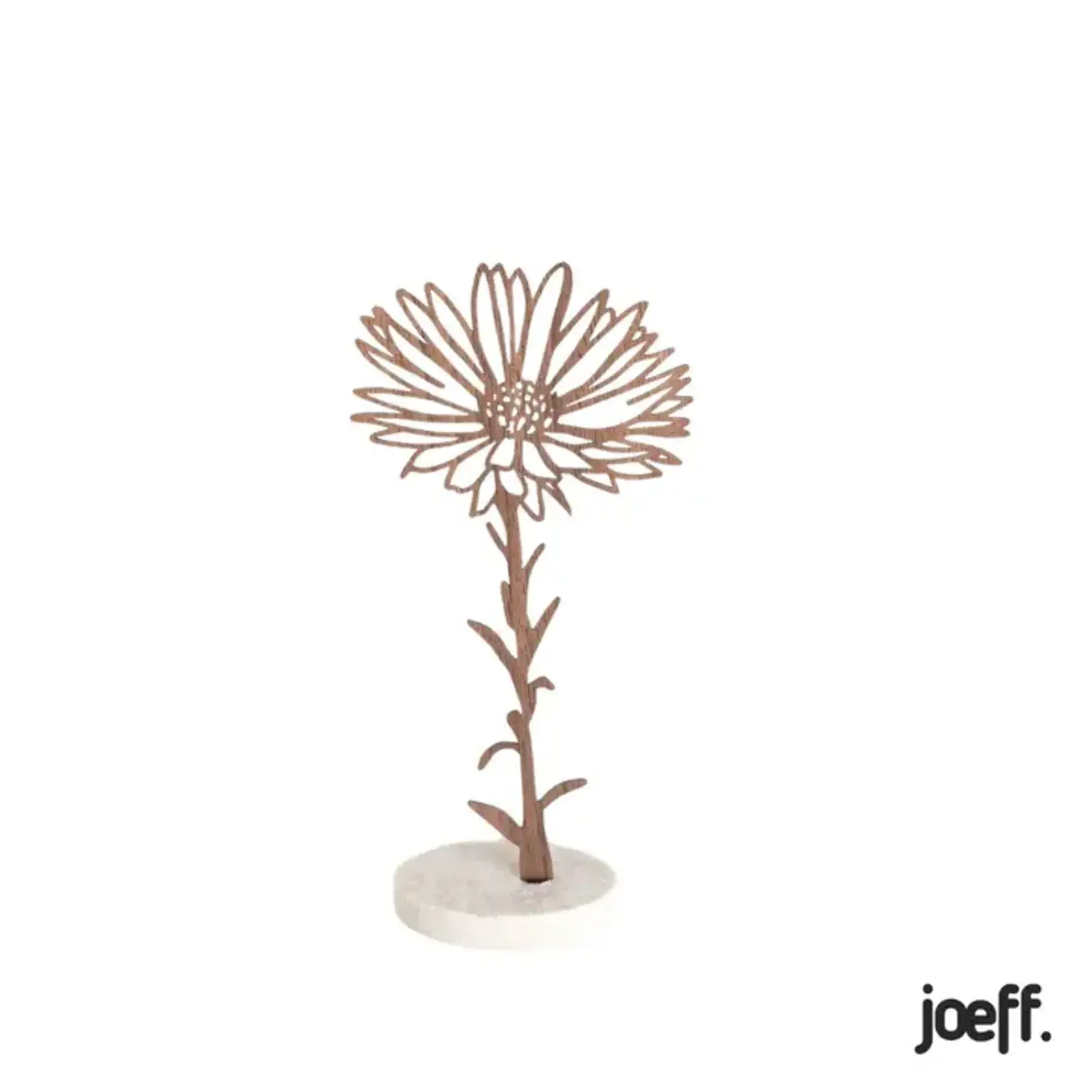 Joeff walnoot geboortebloem aster september