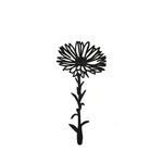 Joeff zwart geboortebloem aster september