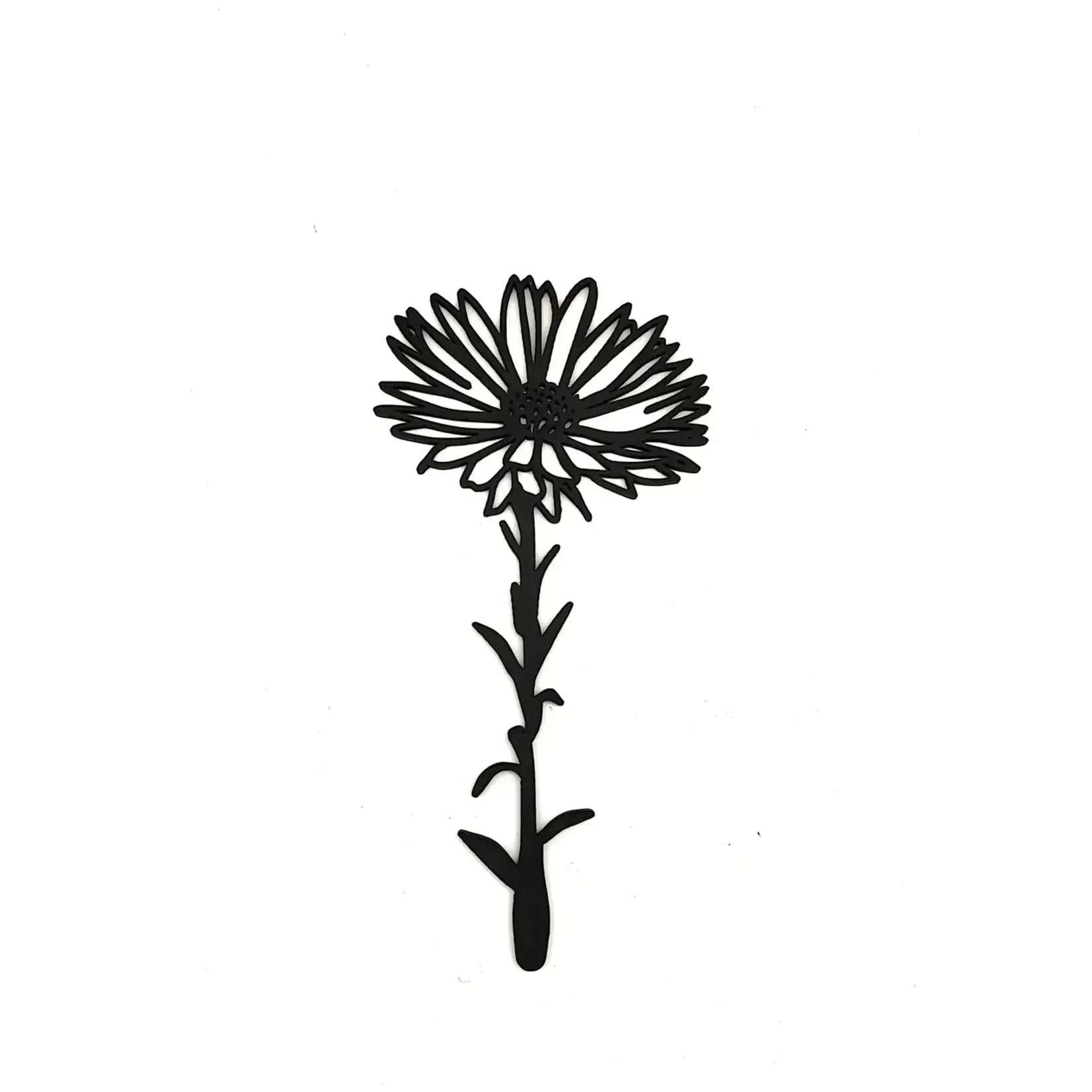 Joeff zwart geboortebloem aster september