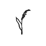 Joeff Zwart Geboortebloem Lelietje van Dalen Mei