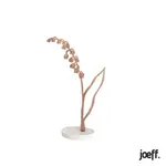 Joeff Walnoot Geboortebloem Lelietje van Dalen Mei