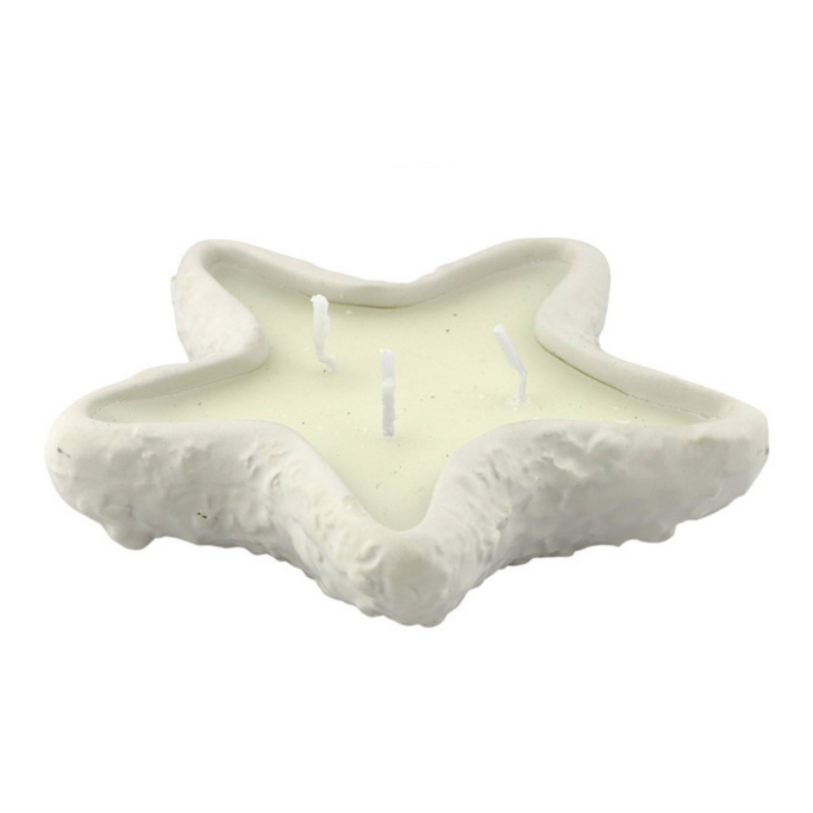 Home Society Kaars Coastal Star