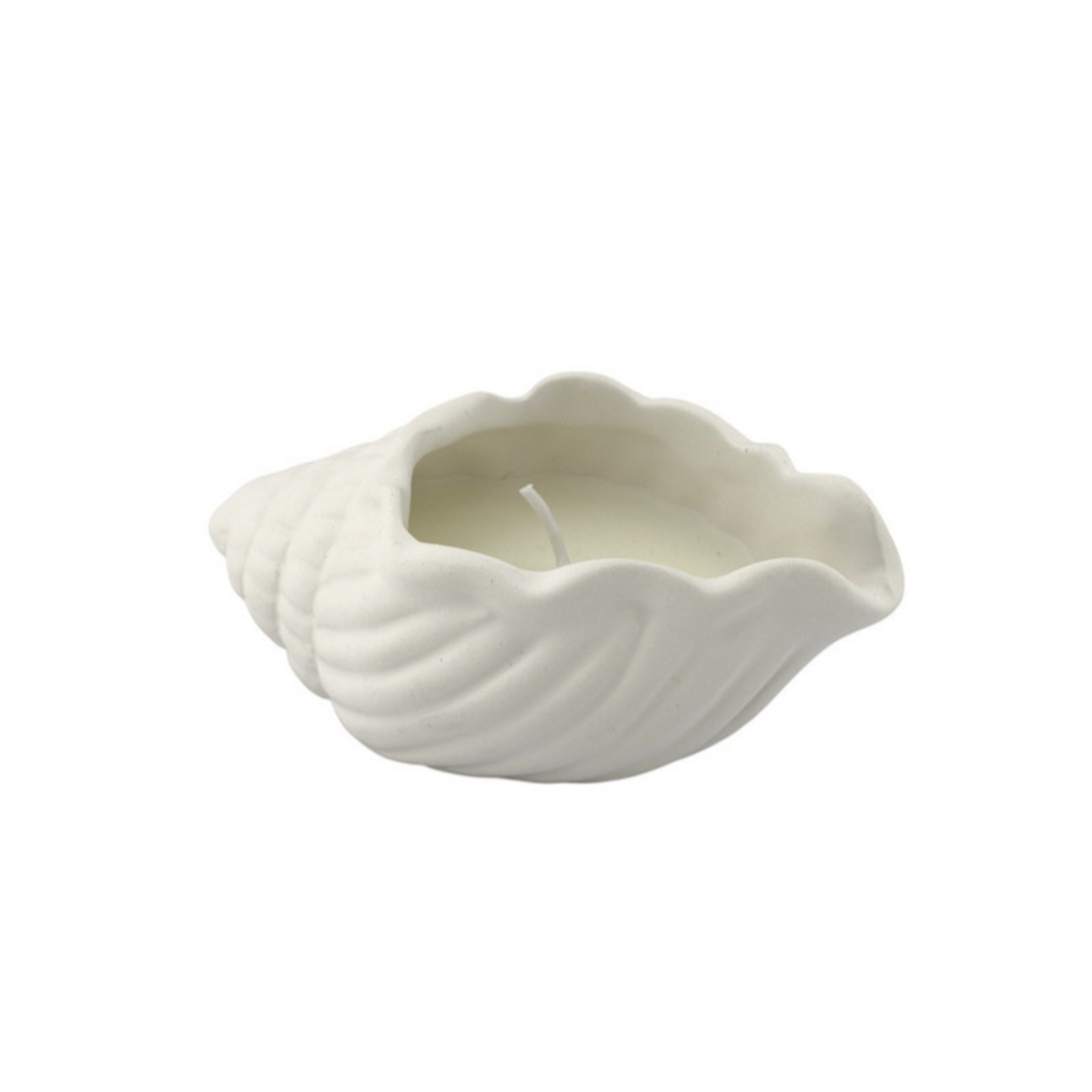 Home Society Kaars Coastal Shell