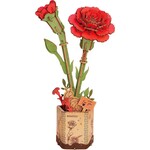 Rowood Time DIY Flower Red Carnation