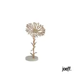 Joeff beuken geboortebloem aster september