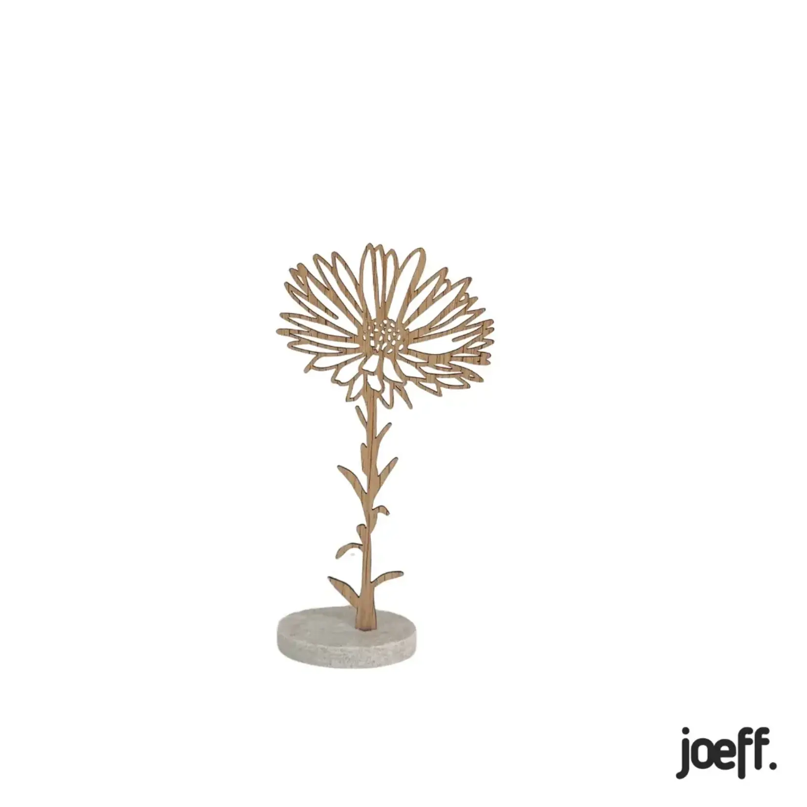 Joeff beuken geboortebloem aster september