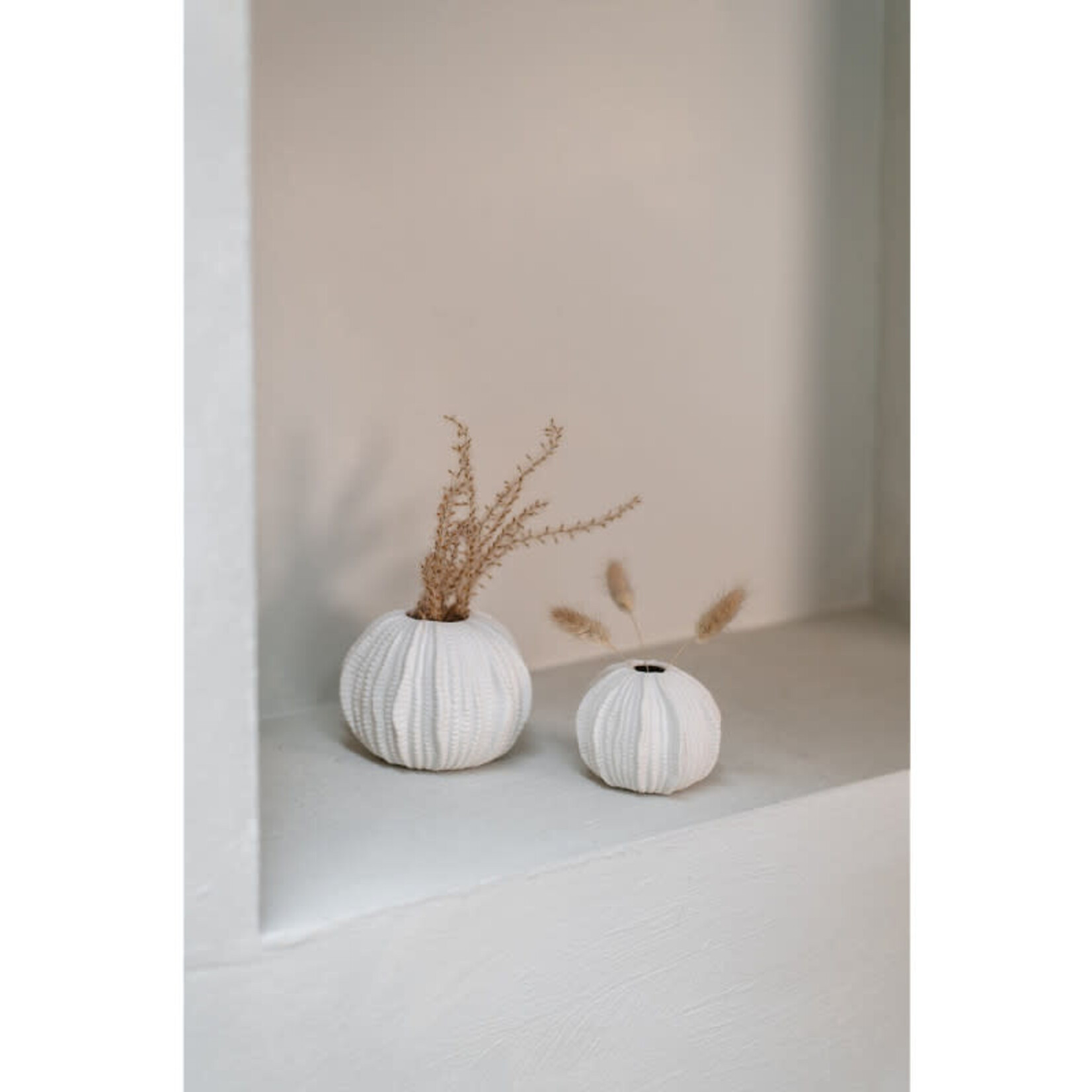 Home Society Vaas Sea Urchin L